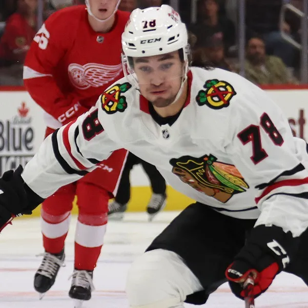 Chiropractor For NHL Hockey Players Near Me in Grand Blanc, MI. Chiropractic Care For Athletes.