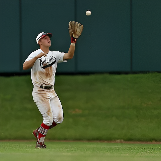 Chiropractor For Baseball Players Near Me in Grand Blanc, MI. Chiropractic Care For Champion Athletes.