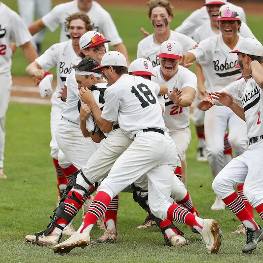 Chiropractor For Baseball Players Near Me in Grand Blanc, MI. Chiropractic Care For Champion Athletes.